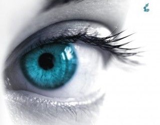 S. J. Watson – Zanim zasnę