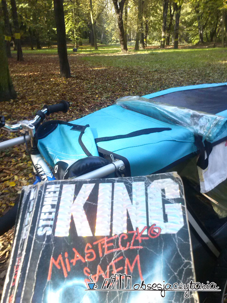 S.-King-Miasteczko-Salem2