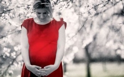 Paullina Simons – Jedenaście godzin