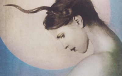 Patrycja Pustkowiak – Nocne zwierzęta