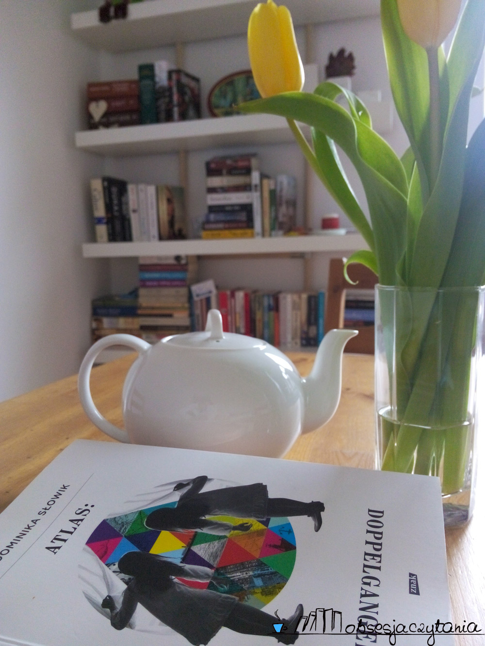 Dominika Słowik-Atlas:Doppelganger