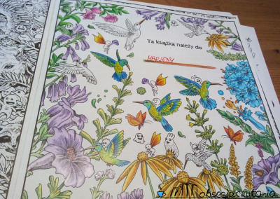 Animorphia Kerby Rosanes