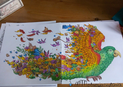 Animorphia Kerby Rosanes