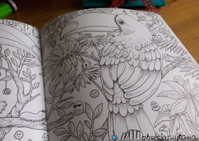 Animorphia Kerby Rosanes