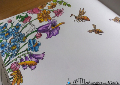 Animorphia Kerby Rosanes