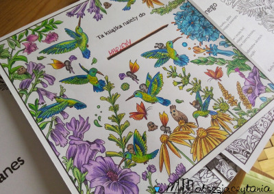 Animorphia Kerby Rosanes